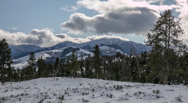Yellowstone